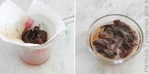 ГРЕЧНЕВАЯ ЗАПЕКАНКА С КУРИЦЕЙ И ГРИБАМИ