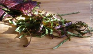 зеленый перекус, лист салата зеленый перекус, лист салата