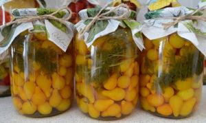 15. И главное, не торопитесь открывать свежеприготовленные помидоры раньше, чем через месяц, до этого срока они не будут готовы. 15. И главное, не торопитесь открывать свежеприготовленные помидоры раньше, чем через месяц, до этого срока они не будут готовы.