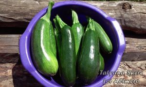 кабачковая икра рецепт