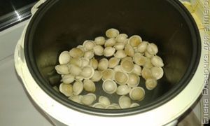 Рецепт пельменей с сыром и чесноком в мультиварке