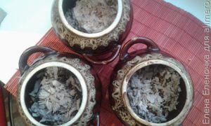 рецепт гречки со свининой в горшочках