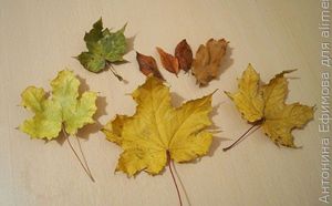 Ледяной подсвечник своими руками