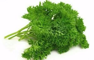 Кервель. Его листья по виду похожи на петрушку, а вот вкус напоминает анис. Эта пряность хорошо сочетается с бараниной и свининой. Ее можно добавлять в салаты, омлеты и творожные (закусочные) запеканки. Кервель. Его листья по виду похожи на петрушку, а вот вкус напоминает анис. Эта пряность хорошо сочетается с бараниной и свининой. Ее можно добавлять в салаты, омлеты и творожные (закусочные) запеканки.
