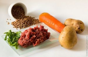 Исходные продукты Исходные продукты