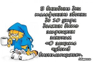 Забавные высказывания про утро