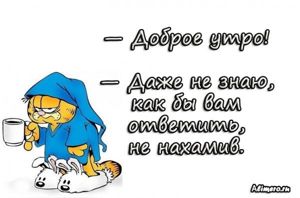 Забавные высказывания про утро