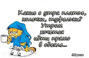 Забавные высказывания про утро