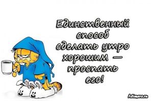 Забавные высказывания про утро