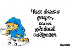 Забавные высказывания про утро