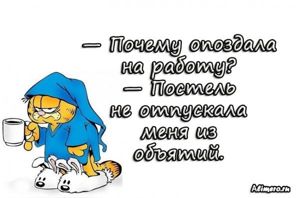 Забавные высказывания про утро