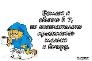 Забавные высказывания про утро