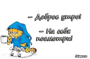Забавные высказывания про утро