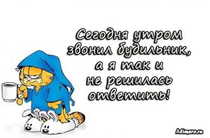 Забавные высказывания про утро