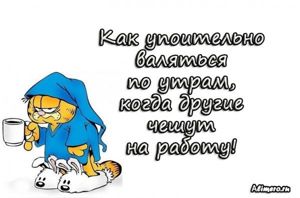 Забавные высказывания про утро