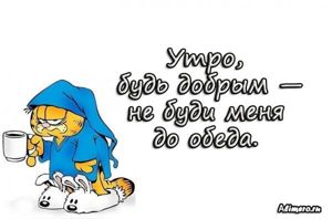 Забавные высказывания про утро