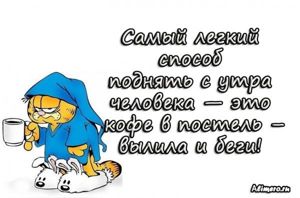 Забавные высказывания про утро