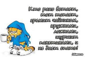 Забавные высказывания про утро