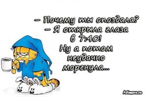 Забавные высказывания про утро
