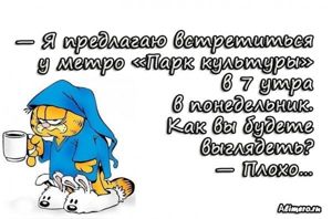 Забавные высказывания про утро