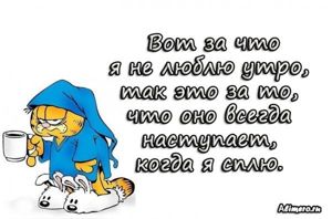 Забавные высказывания про утро