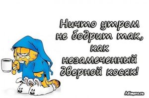 Забавные высказывания про утро