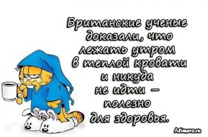 Забавные высказывания про утро