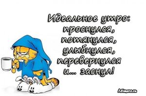 Забавные высказывания про утро