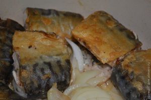 Скумбрия жареная с травами и луком рецепт