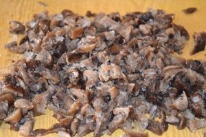 жульен в ракушках