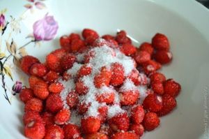 молочный десерт с лесной земляникой