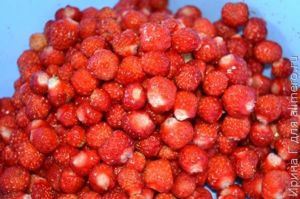 десерт из клубники и ряженки рецепт