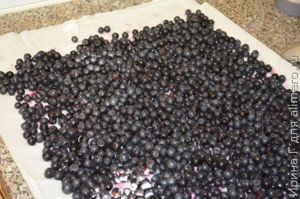 черника, протертая с сахаром рецепт