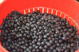черника, протертая с сахаром рецепт