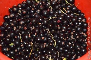 варенье-пятиминутка из черной смородины