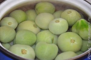 зеленые маринованные помидоры