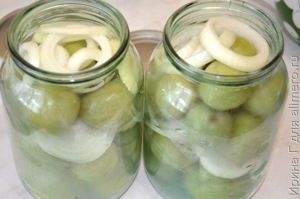 зеленые маринованные помидоры