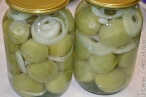 зеленые маринованные помидоры