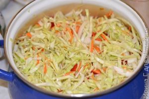 маринованная быстрая капуста