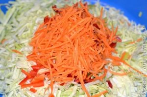 маринованная быстрая капуста