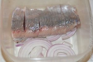 сельдь в маринаде