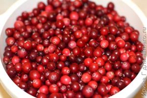пирог с клюквой от дарьи донцовой