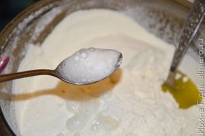 шарлотка с яблоками на яйцах