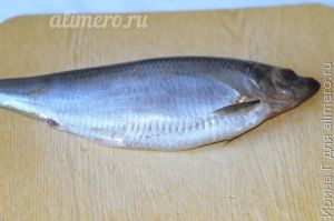селедка под шубой