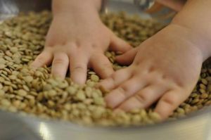 Помогать перебирать крупу, фасоль или любые другие мелкие продукты питания. Помогать перебирать крупу, фасоль или любые другие мелкие продукты питания.
