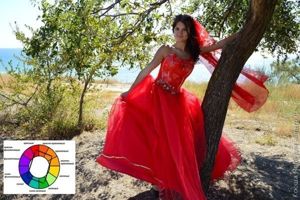 сочетание цветов