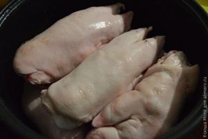 свиные копытца