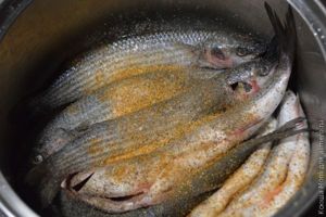 кефаль под луковой шапкой