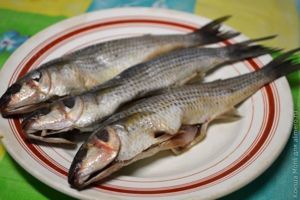 кефаль по-гречески
