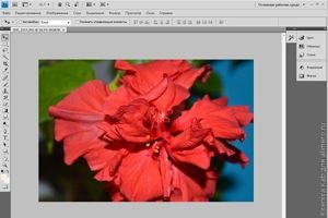 базовая обработка фото Photoshop